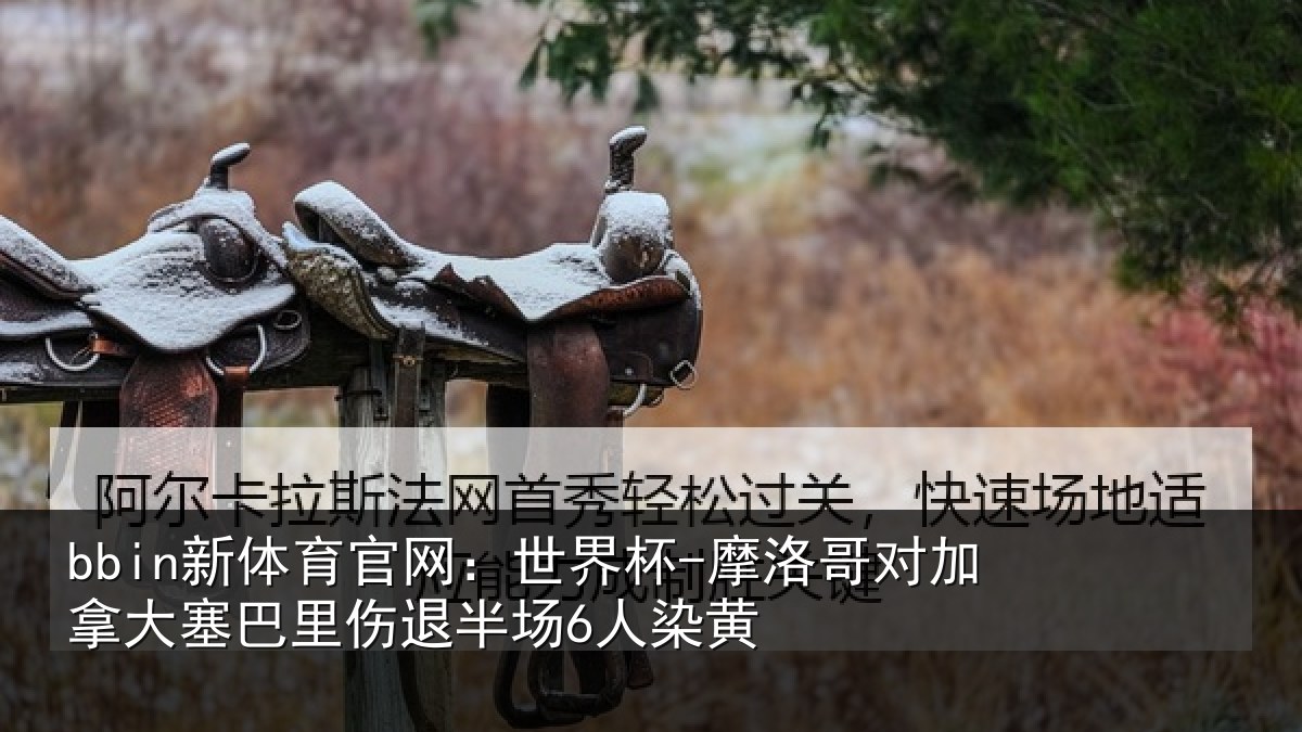 bbin新体育官网：世界杯-摩洛哥对加拿大塞相关情况黄